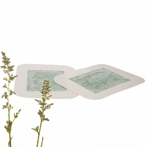 Feetox Detox Voetpleisters – Bijvoet